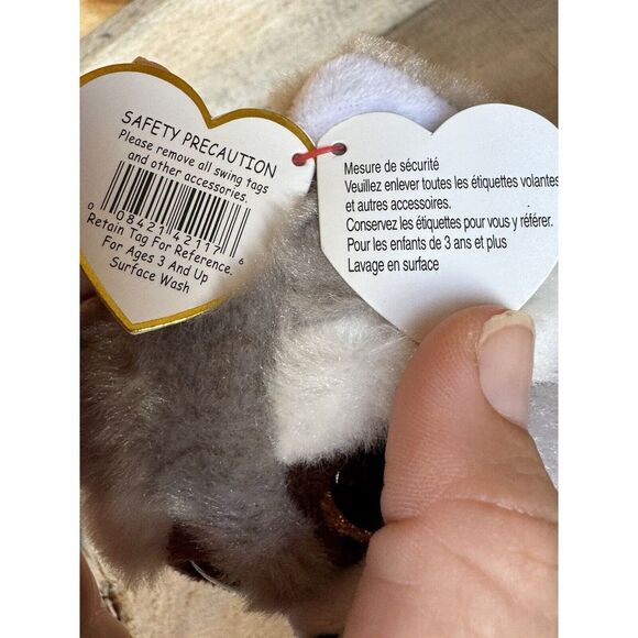 Super Cute! Ty‎ Beanie Baby Bandit The Raccoon 6" - Picture 9 of 11